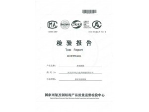 資質(zhì)